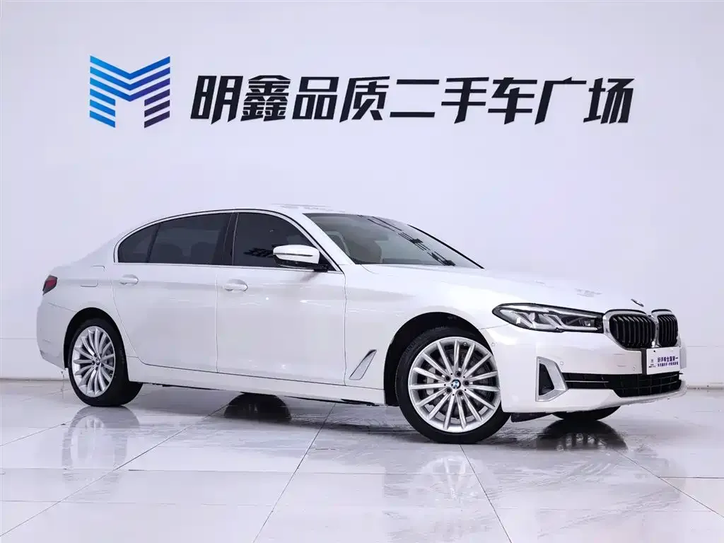 BMW 5 Series 2022 из CN, фото 5