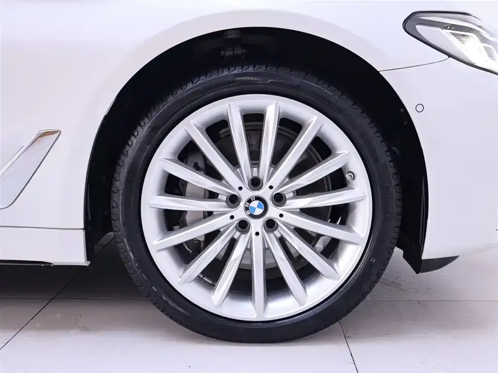 BMW 5 Series 2022 из CN, фото 6