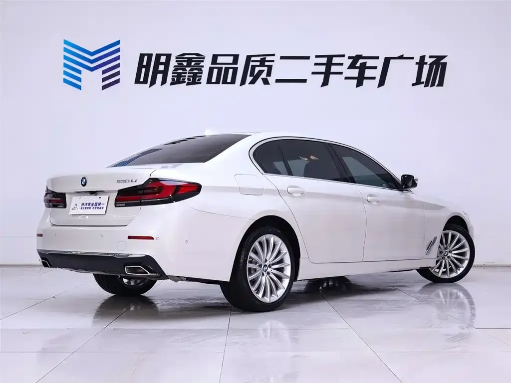 BMW 5 Series 2022 из CN, фото 7