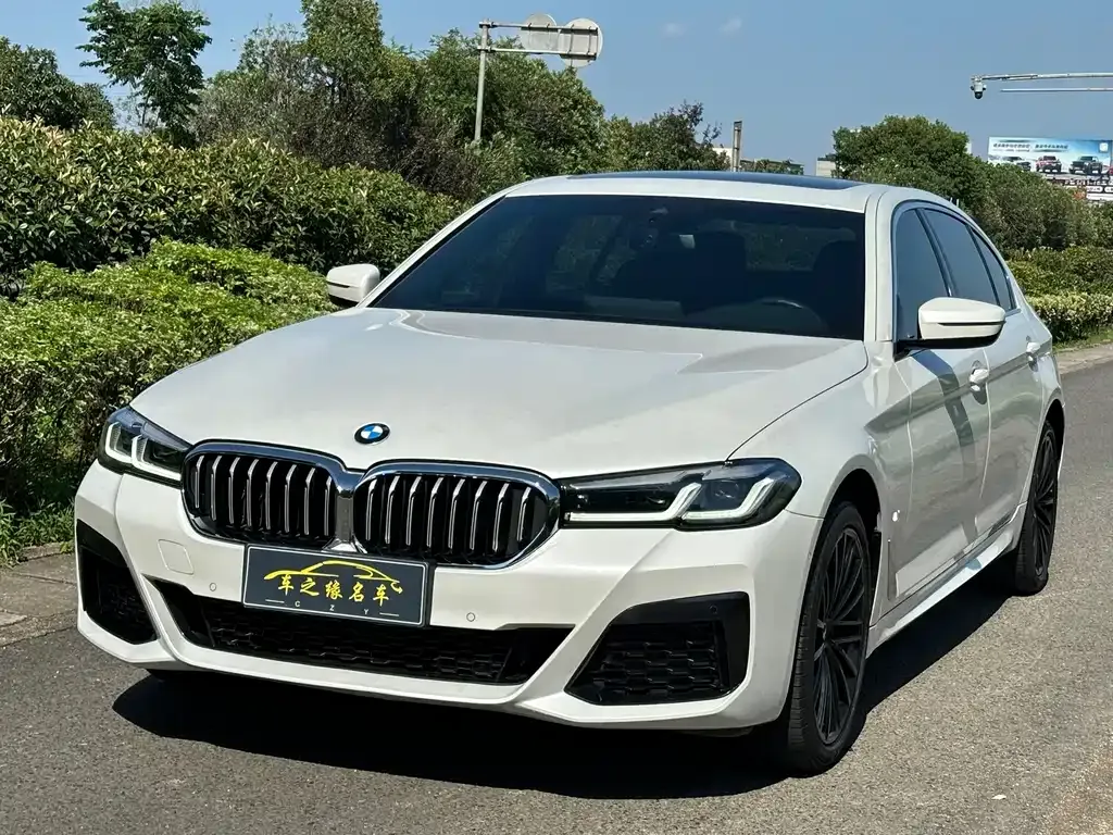 BMW 5 Series 2023 из CN, фото 1