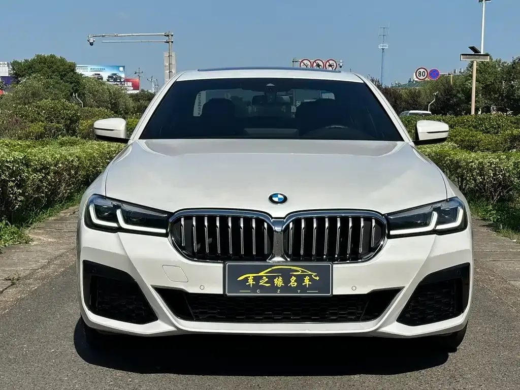 BMW 5 Series 2023 из CN, фото 2
