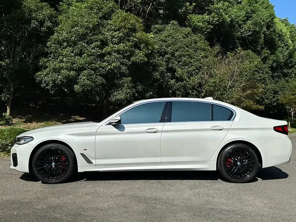 BMW 5 Series 2023 из CN, фото 3
