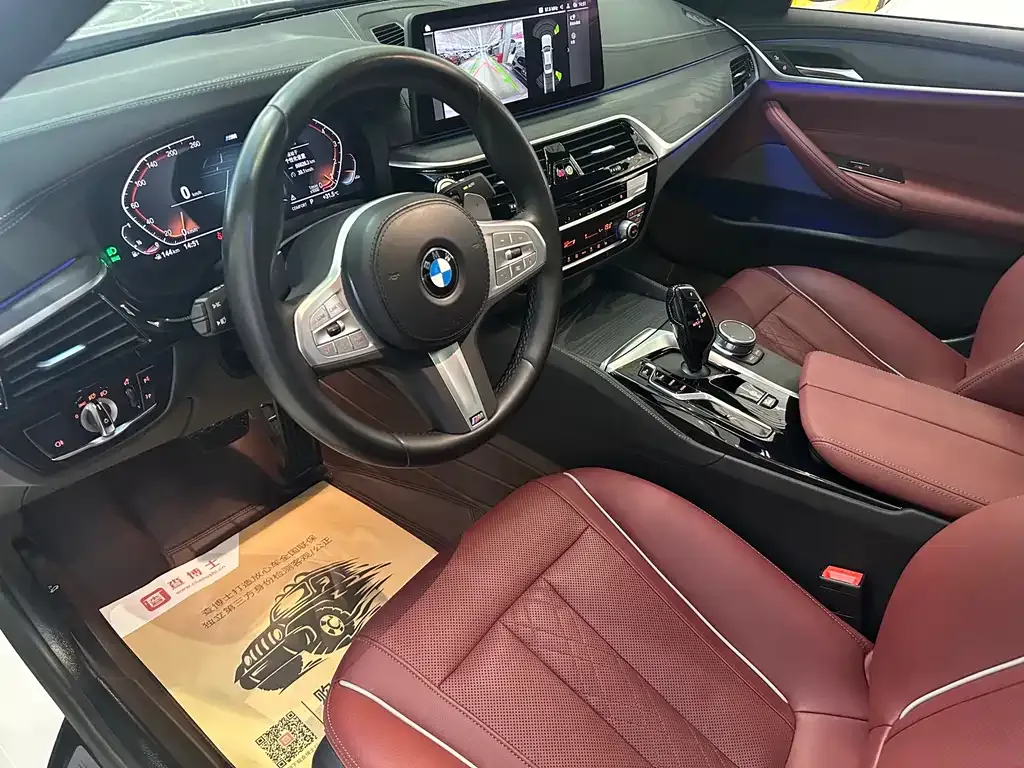 BMW 5 Series 2023 из CN, фото 5