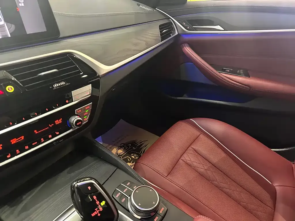 BMW 5 Series 2023 из CN, фото 6