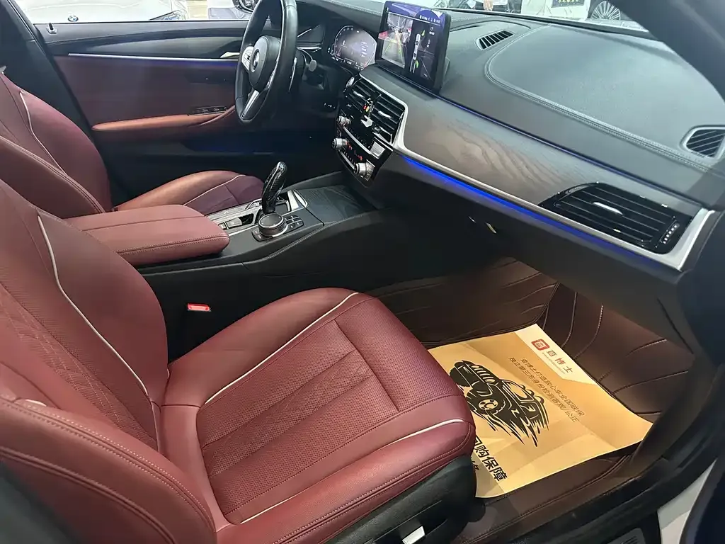 BMW 5 Series 2023 из CN, фото 7