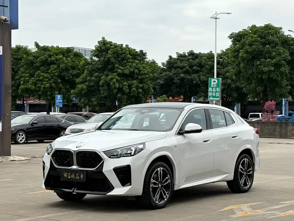 BMW X2 (Import) 2024 из CN, фото 1