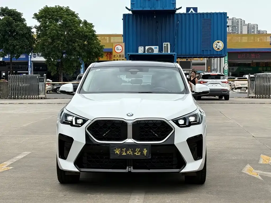 BMW X2 (Import) 2024 из CN, фото 2