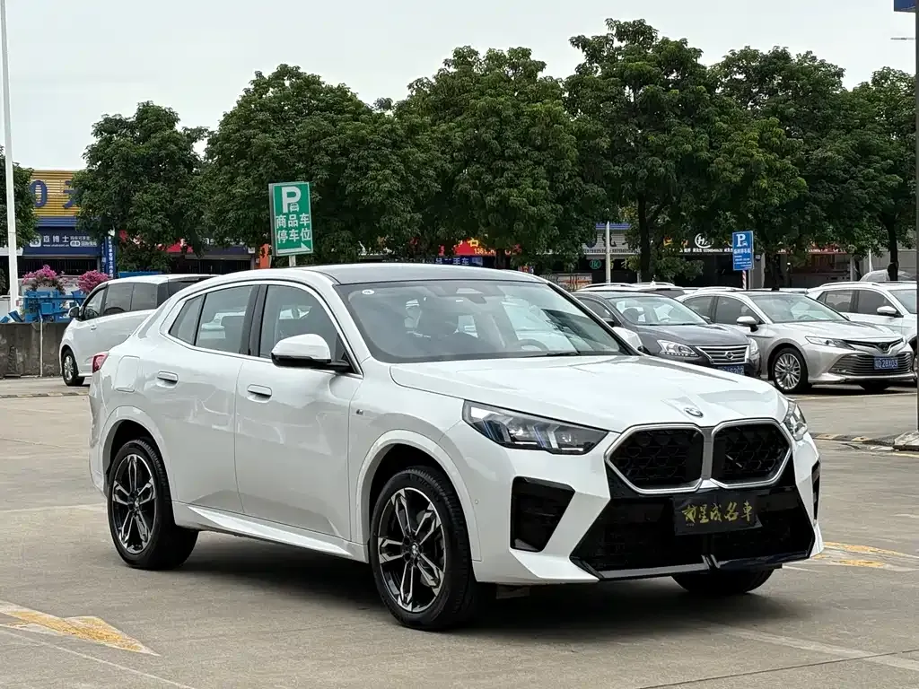 BMW X2 (Import) 2024 из CN, фото 3