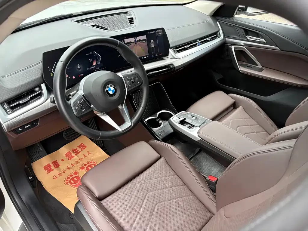 BMW X2 (Import) 2024 из CN, фото 7