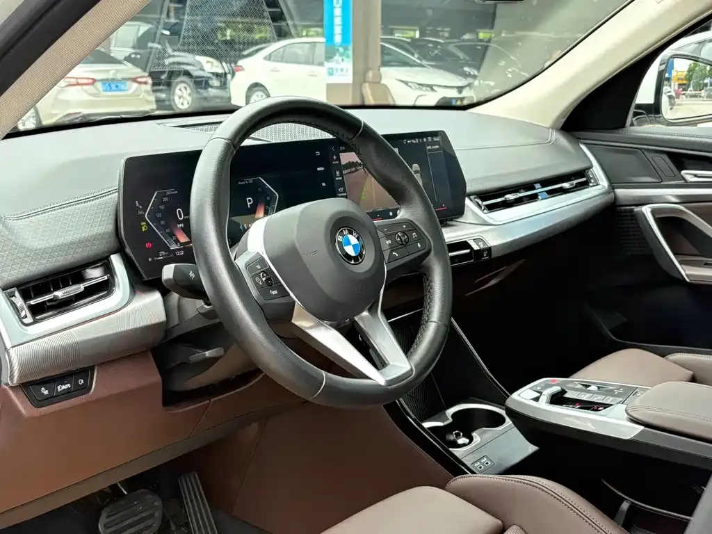 BMW X2 (Import) 2024 из CN, фото 8