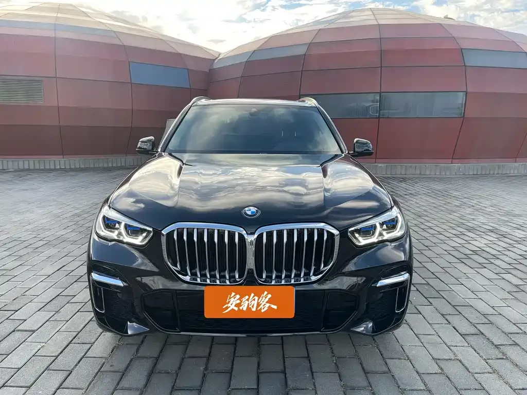 BMW X5 2022 из CN, фото 2