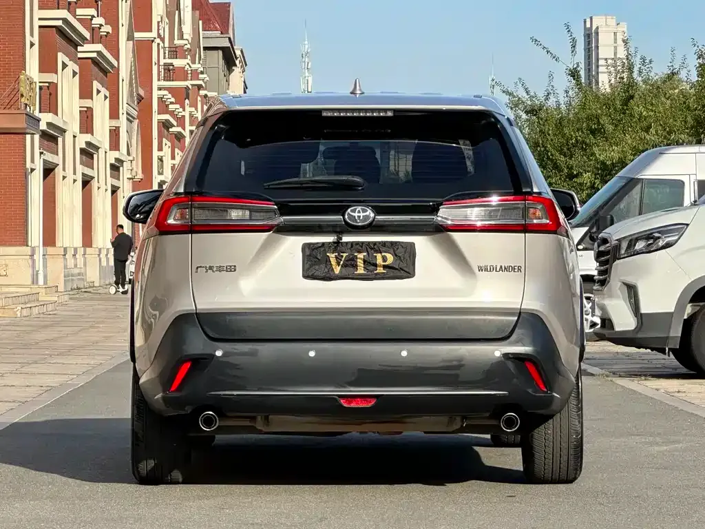 Toyota Wildlander 2023 из CN, фото 6