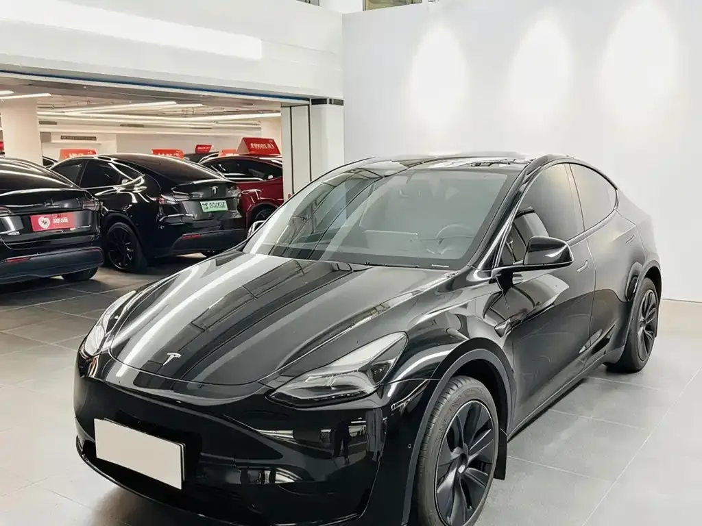 Tesla Model Y 2024 из CN, фото 2