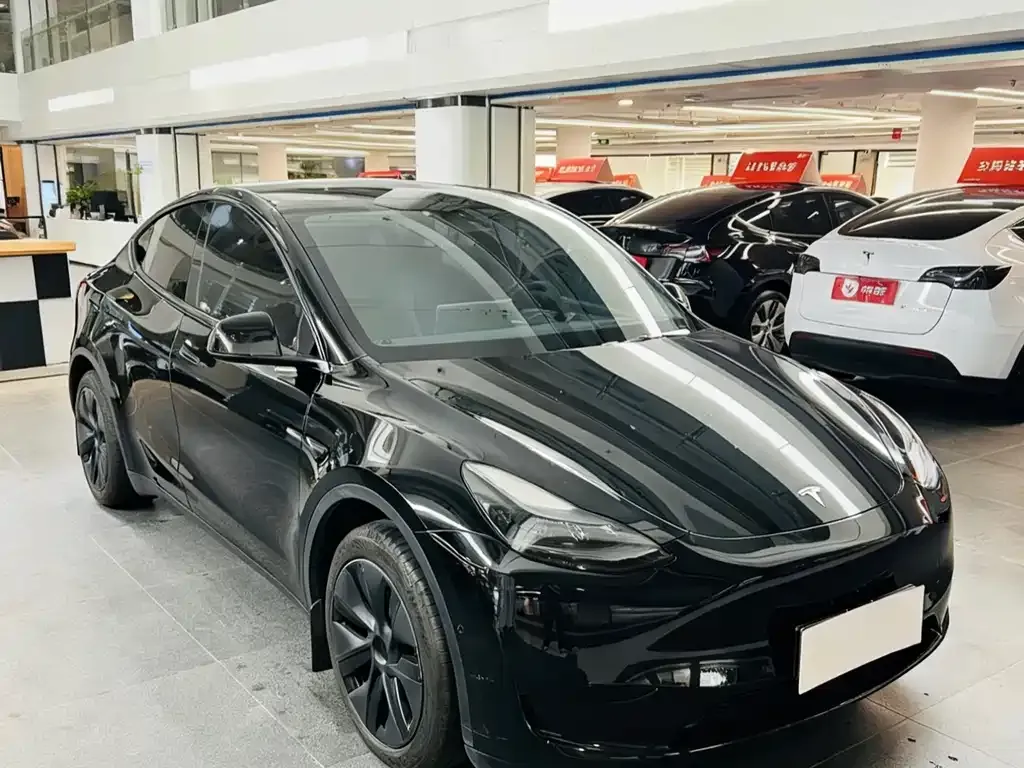 Tesla Model Y 2024 из CN, фото 3