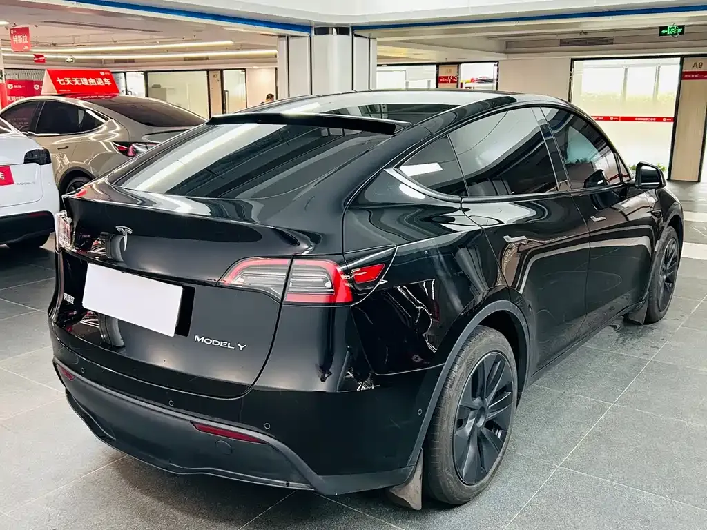 Tesla Model Y 2024 из CN, фото 6