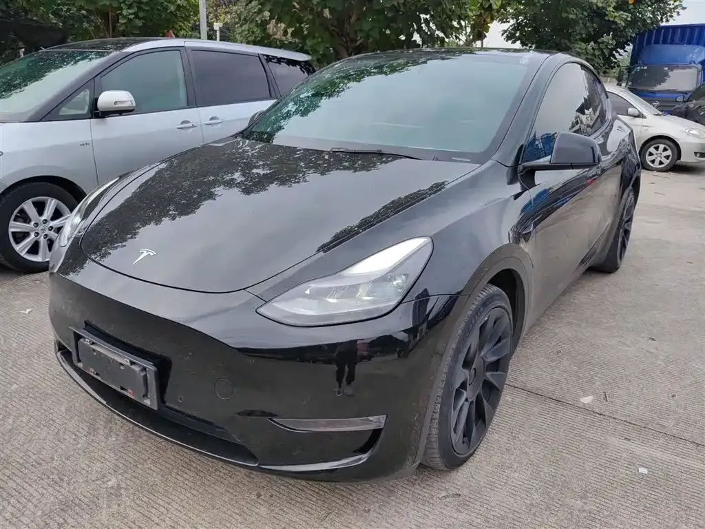 Tesla Model Y — фото 2