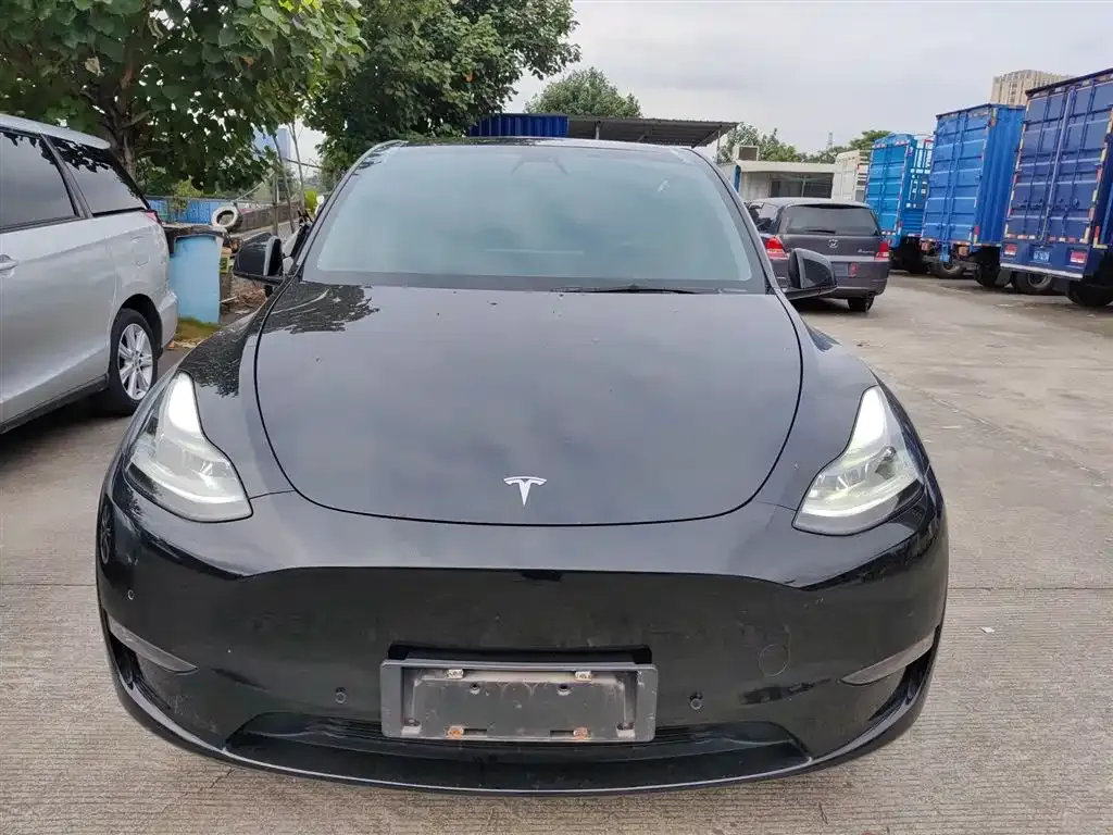 Tesla Model Y — фото 3