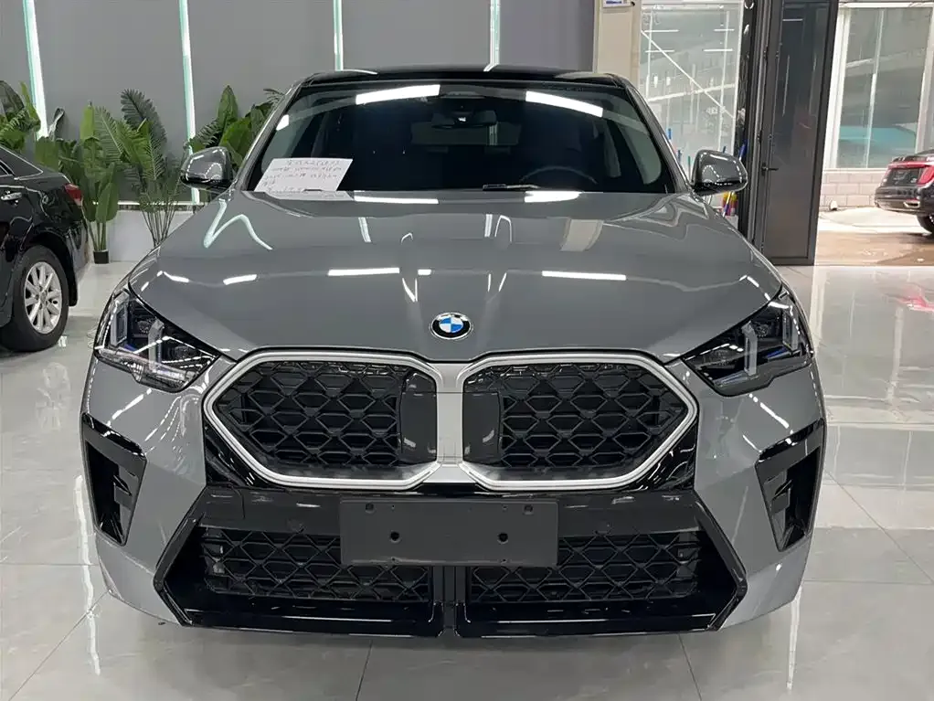 BMW X2 (Import) — фото 3