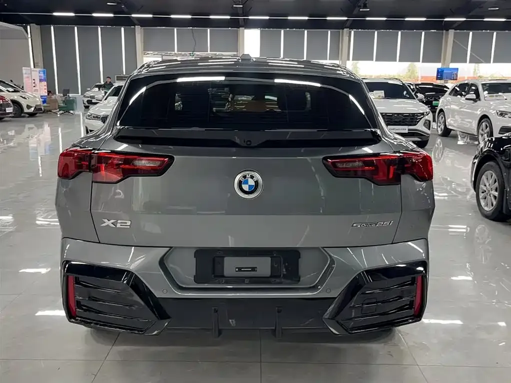 BMW X2 (Import) — фото 6