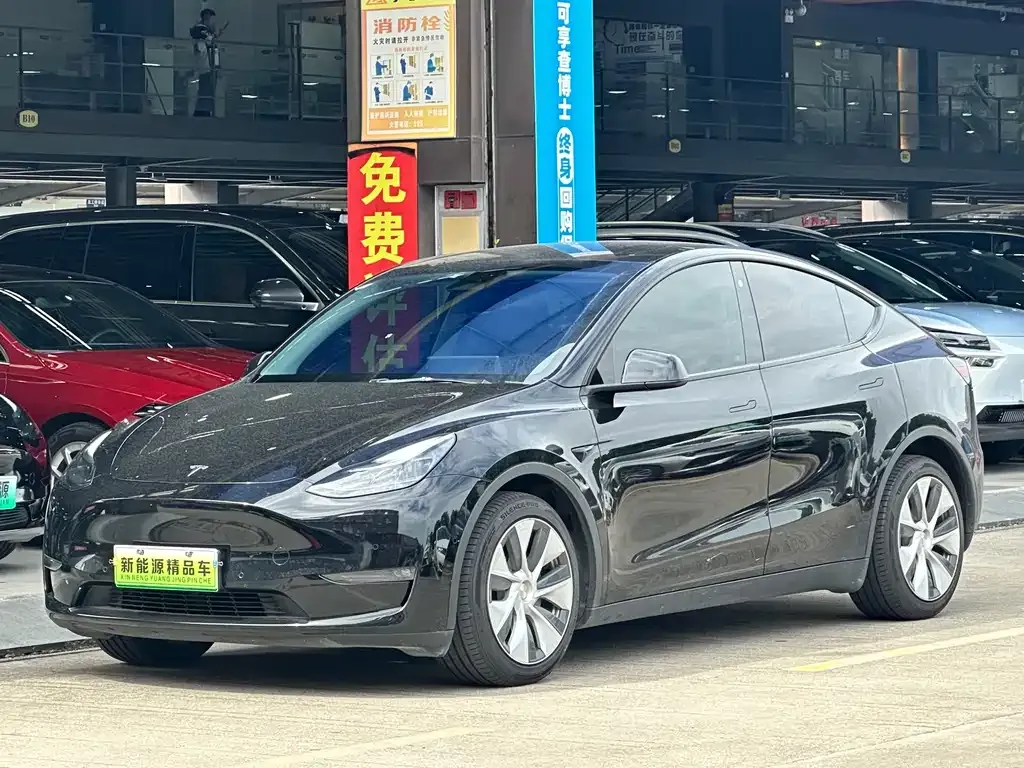 Tesla Model Y 2021 из CN, фото 1
