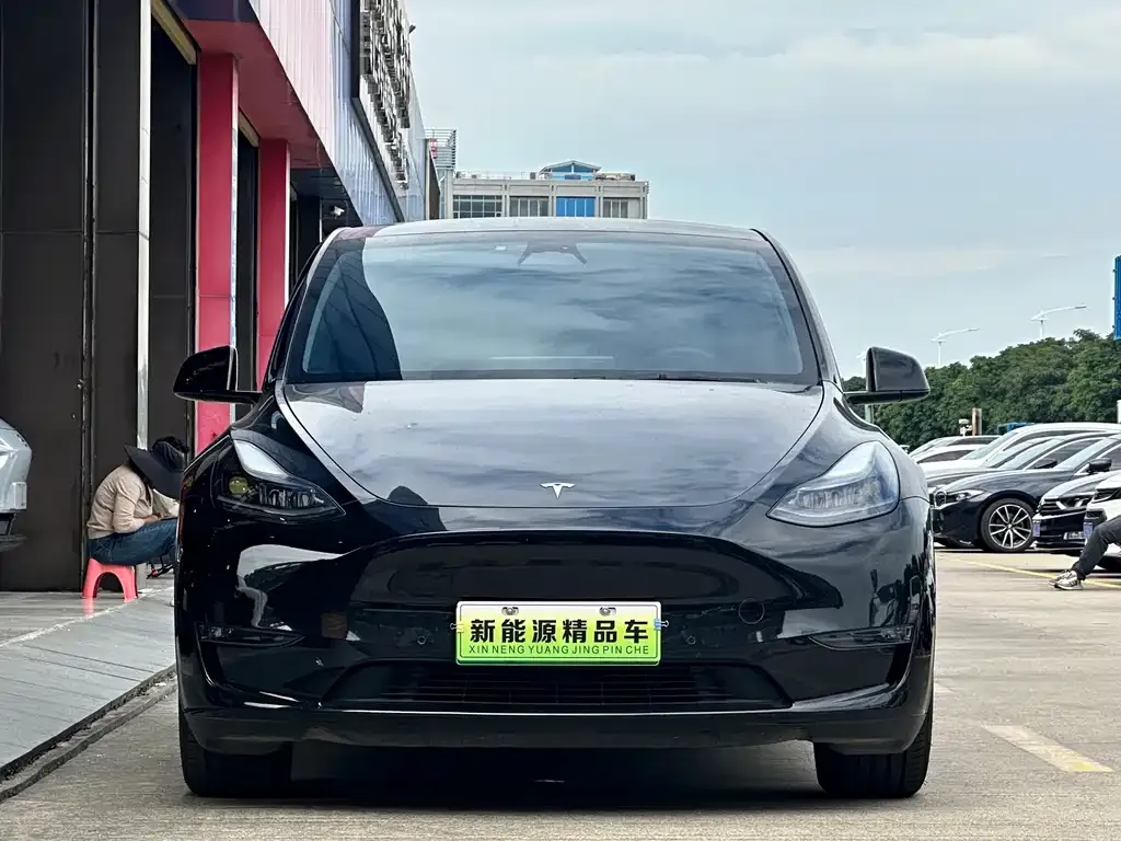 Tesla Model Y 2021 из CN, фото 2
