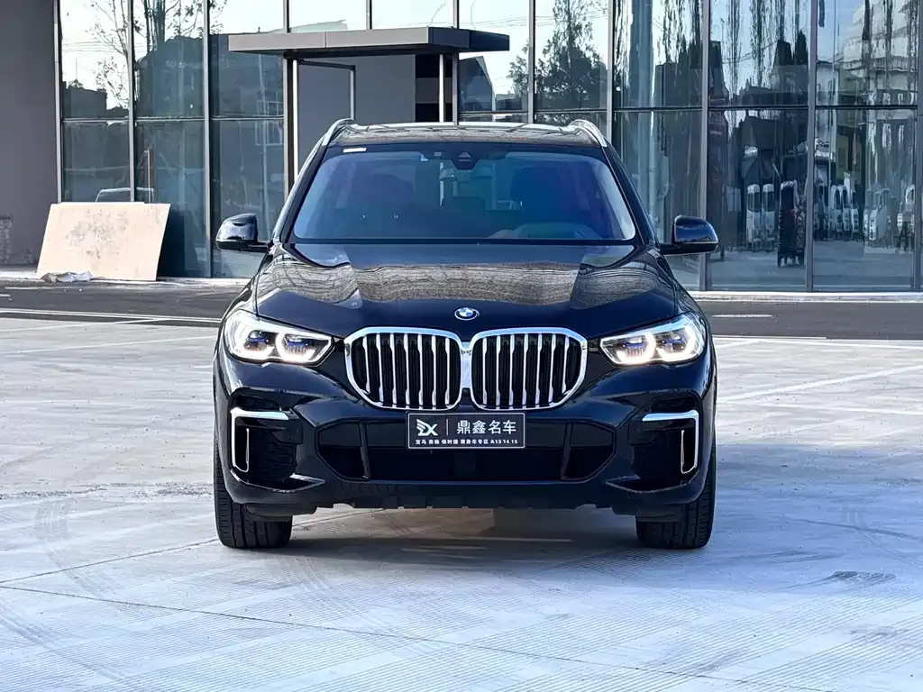 BMW X5 2023 из CN, фото 2