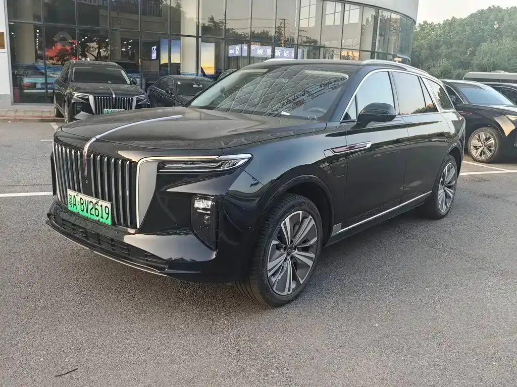 Hongqi E-HS9 2023 из CN, фото 1