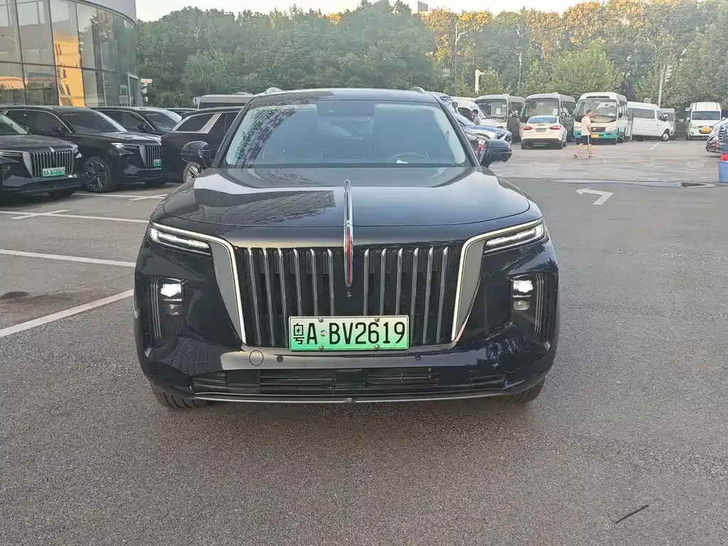 Hongqi E-HS9 2023 из CN, фото 2