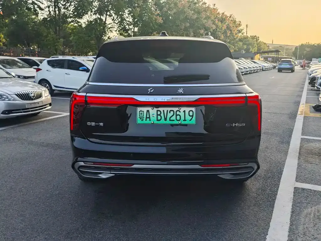 Hongqi E-HS9 2023 из CN, фото 5