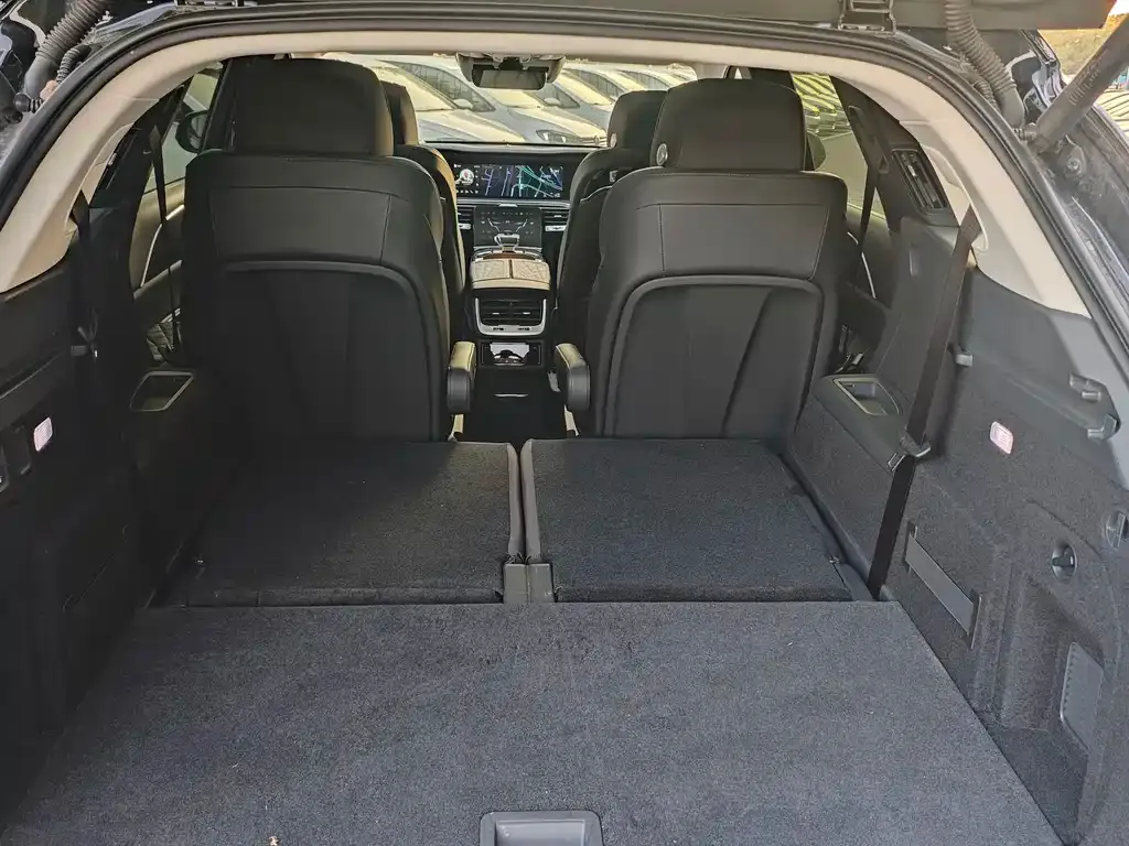 Hongqi E-HS9 2023 из CN, фото 7