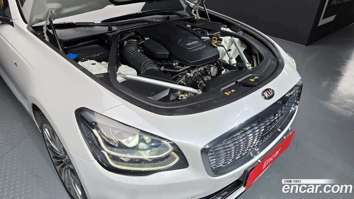 [object Object] K9 2021 из KR, фото 6