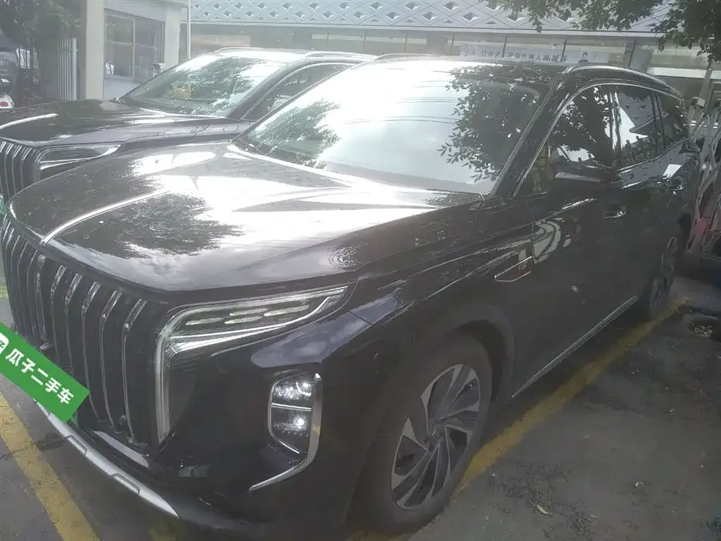 Hongqi HS7 PHEV 2024 из CN, фото 2