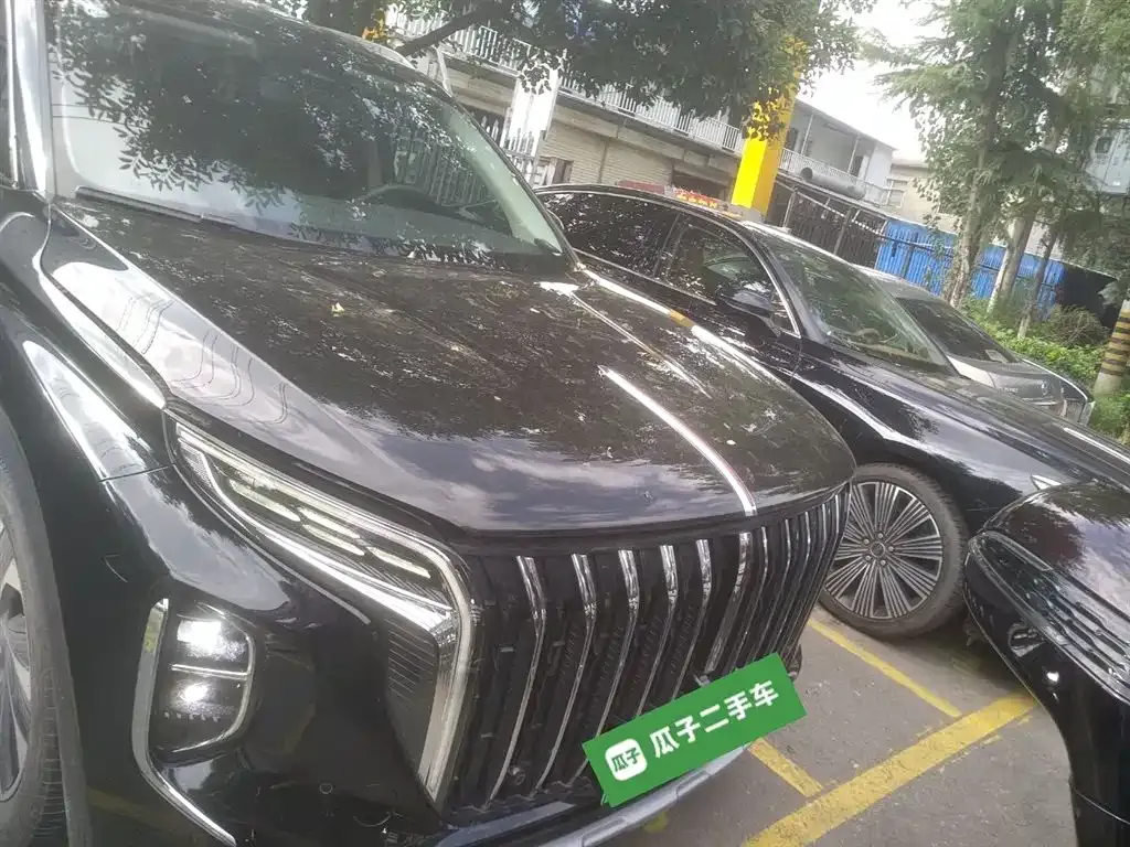 Hongqi HS7 PHEV 2024 из CN, фото 3