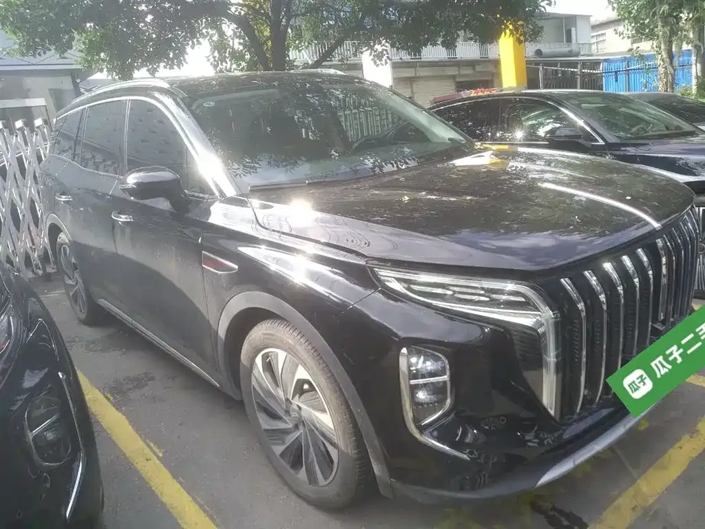 Hongqi HS7 PHEV 2024 из CN, фото 4