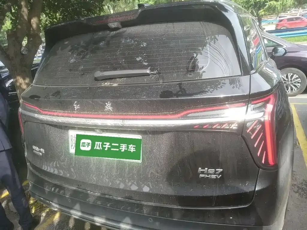 Hongqi HS7 PHEV 2024 из CN, фото 6