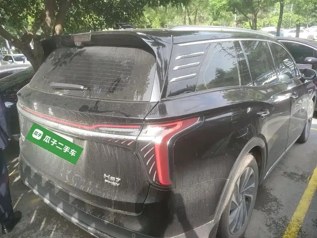 Hongqi HS7 PHEV 2024 из CN, фото 7