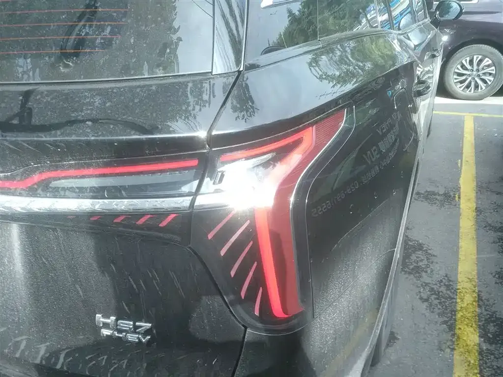 Hongqi HS7 PHEV 2024 из CN, фото 8