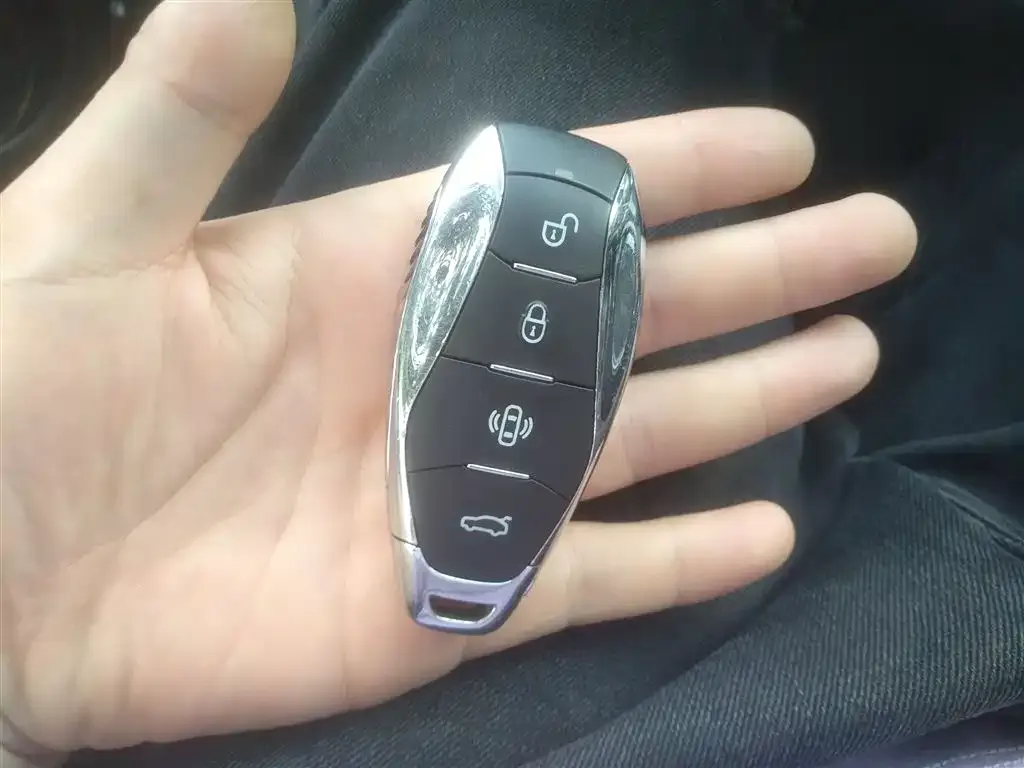 Hongqi HS7 PHEV 2024 из CN, фото 9