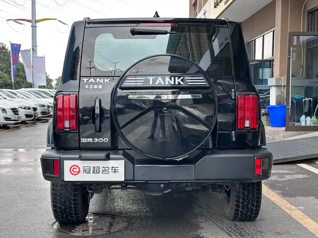 Tank 300 2022 из CN, фото 8