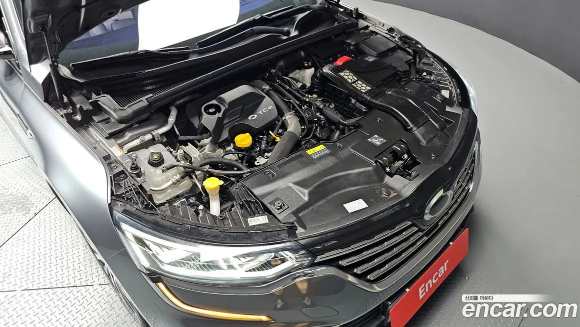 Renault Korea (Samsung) SM6 2021 из KR, фото 6