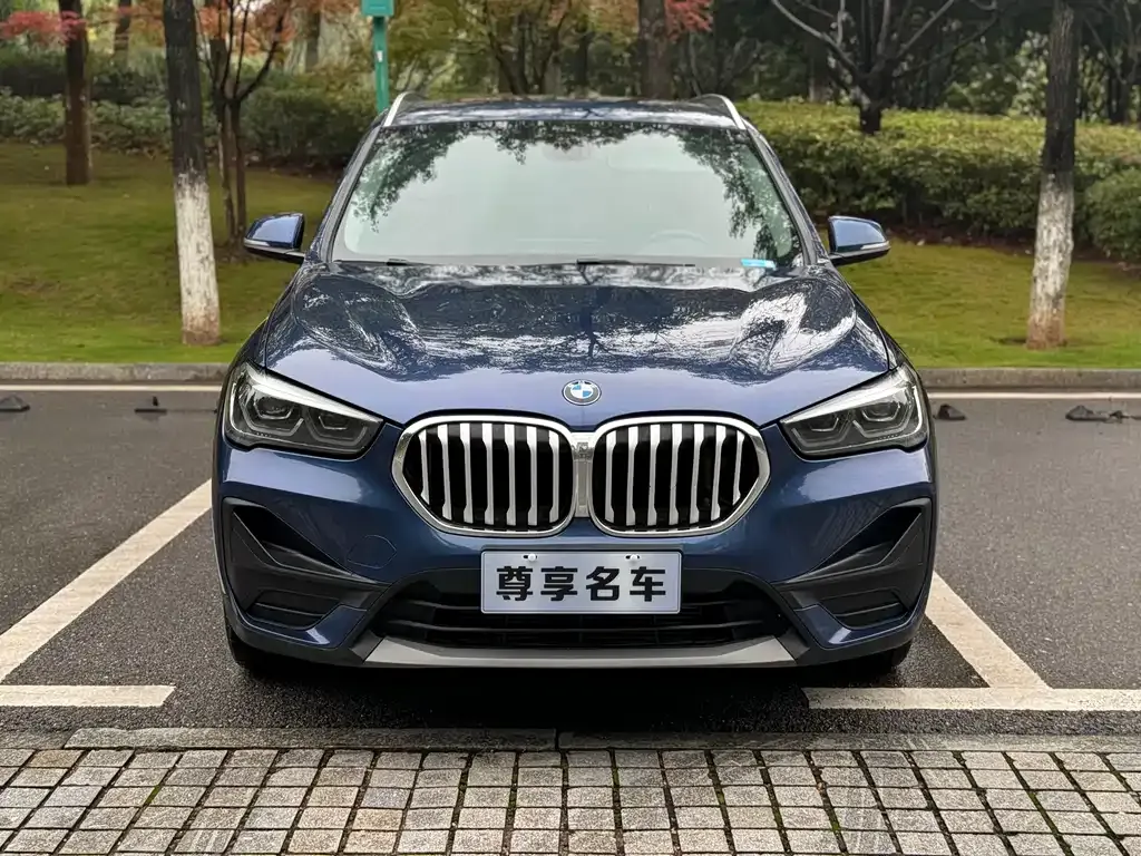 BMW X1 — фото 2