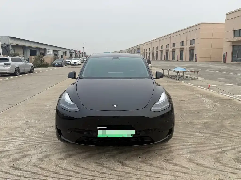 Tesla Model Y 2023 из CN, фото 2