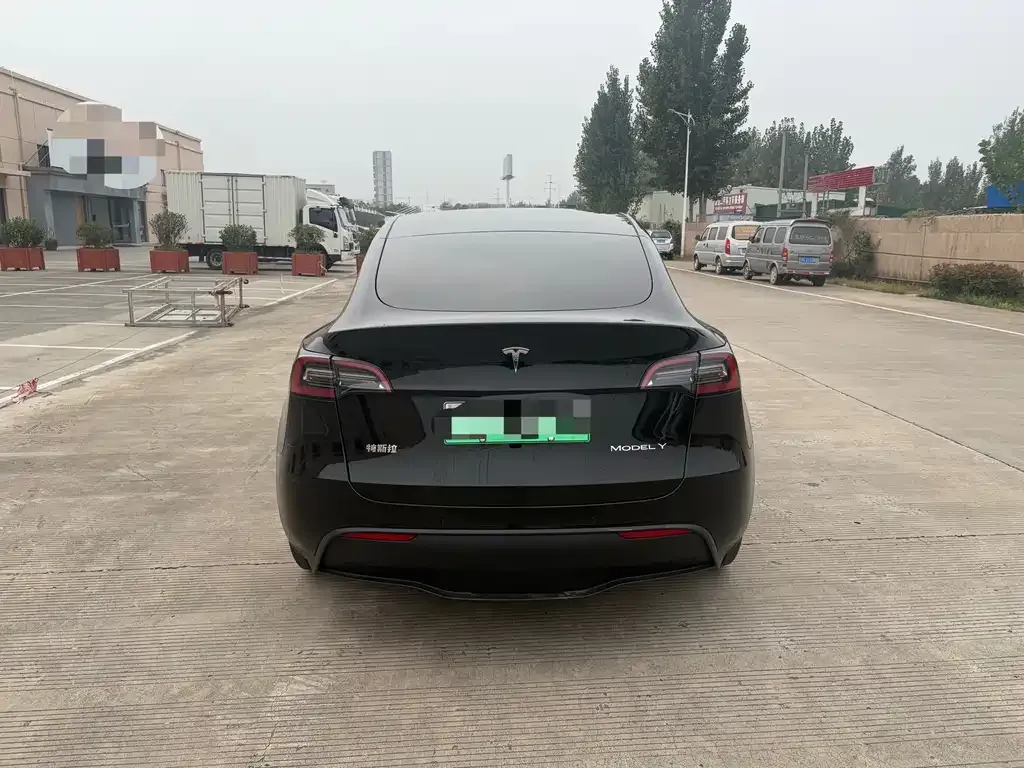 Tesla Model Y 2023 из CN, фото 6