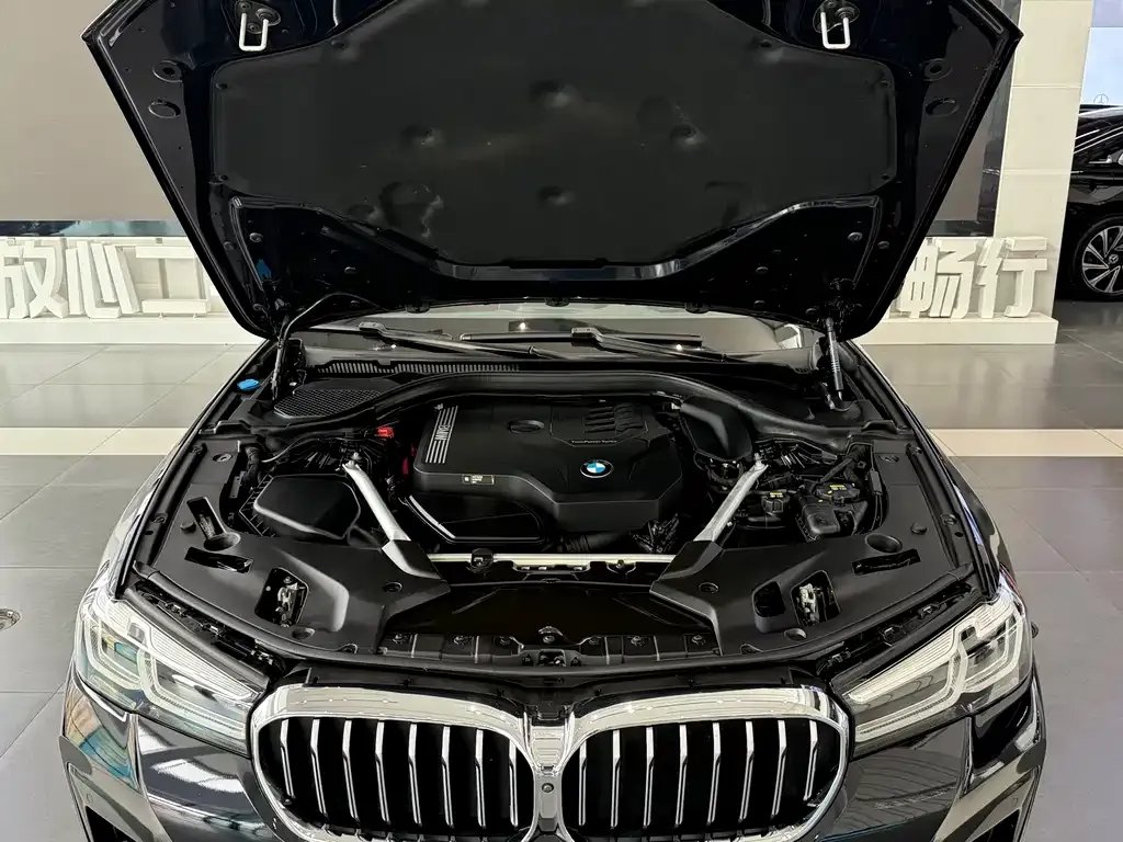 BMW 5 Series 2021 из CN, фото 2