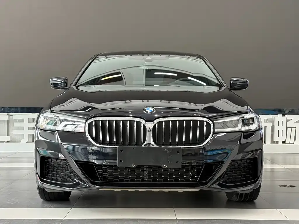 BMW 5 Series 2021 из CN, фото 3