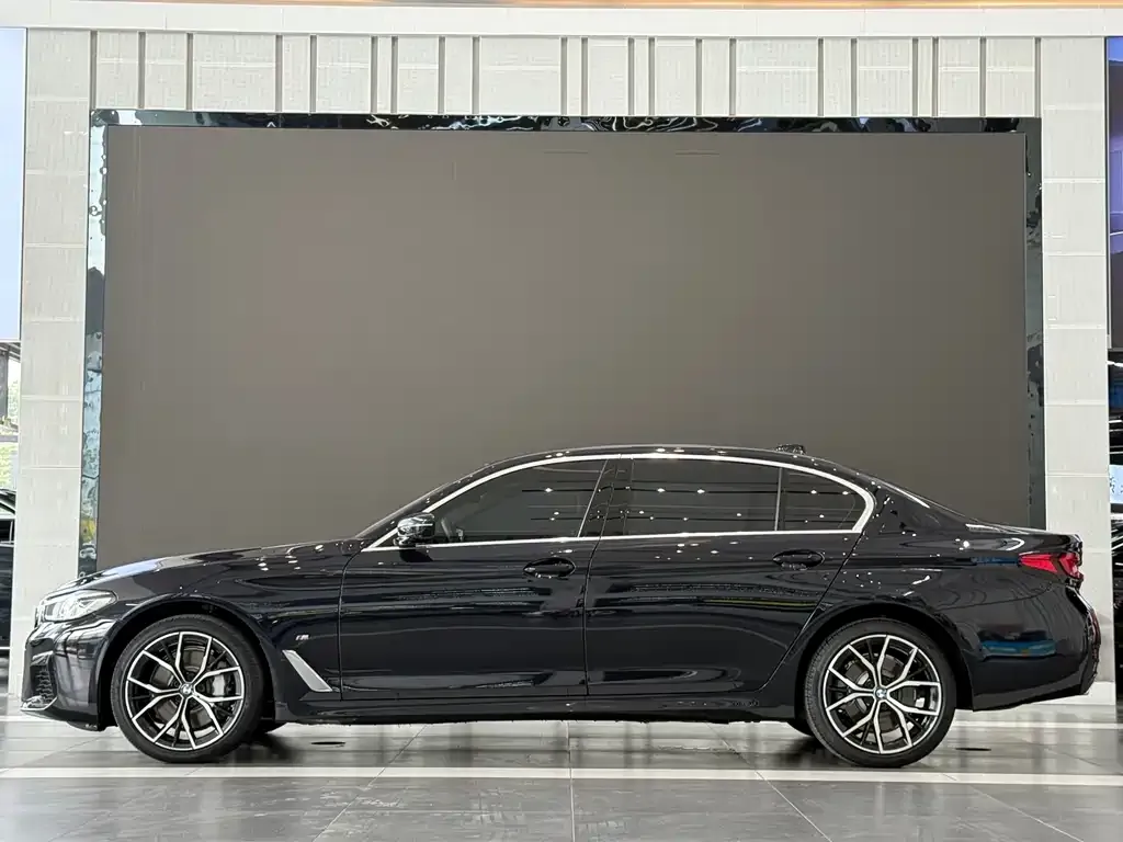 BMW 5 Series 2021 из CN, фото 5