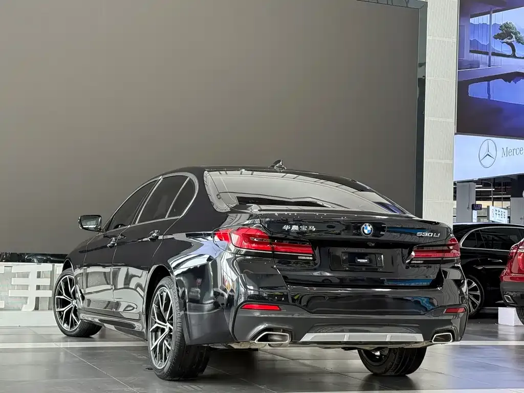 BMW 5 Series 2021 из CN, фото 6