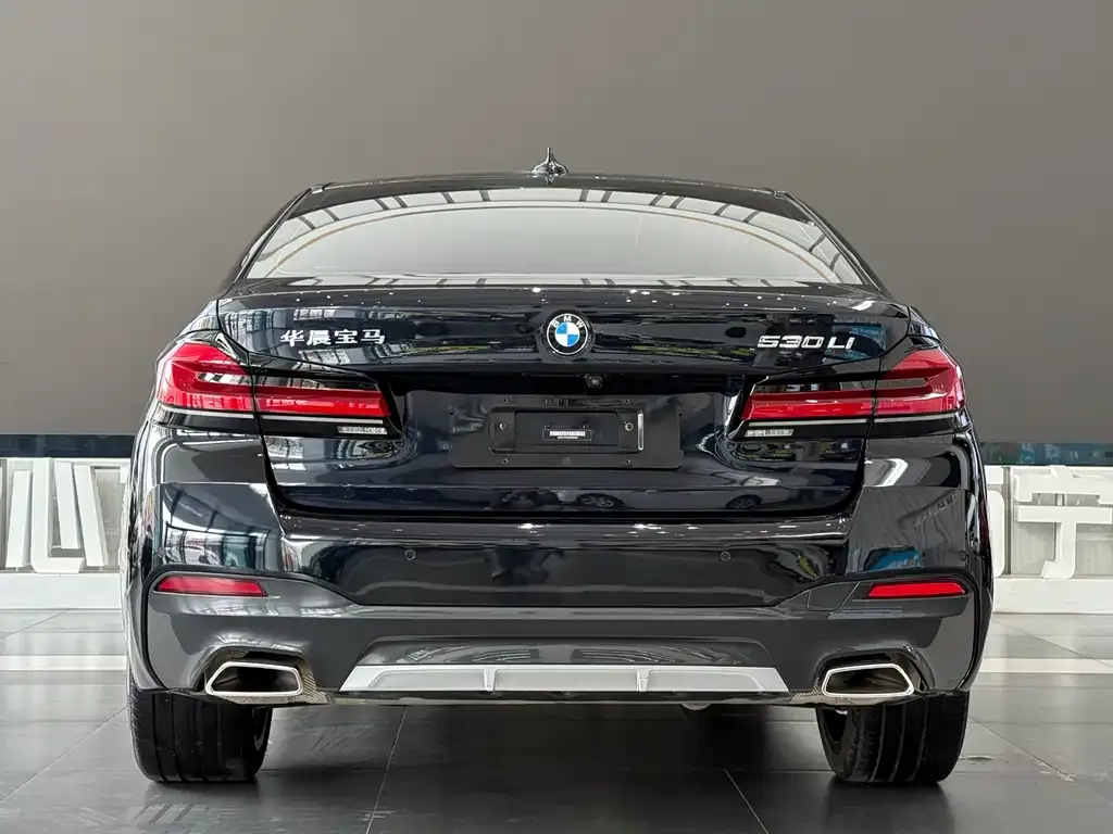 BMW 5 Series 2021 из CN, фото 7