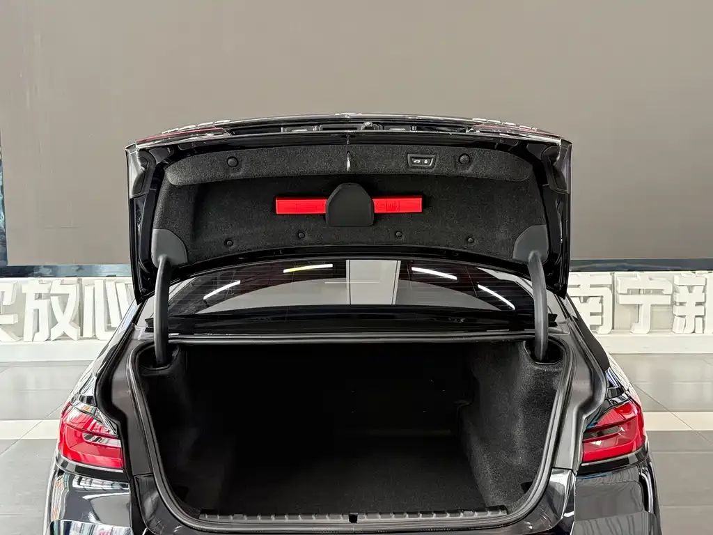 BMW 5 Series 2021 из CN, фото 9