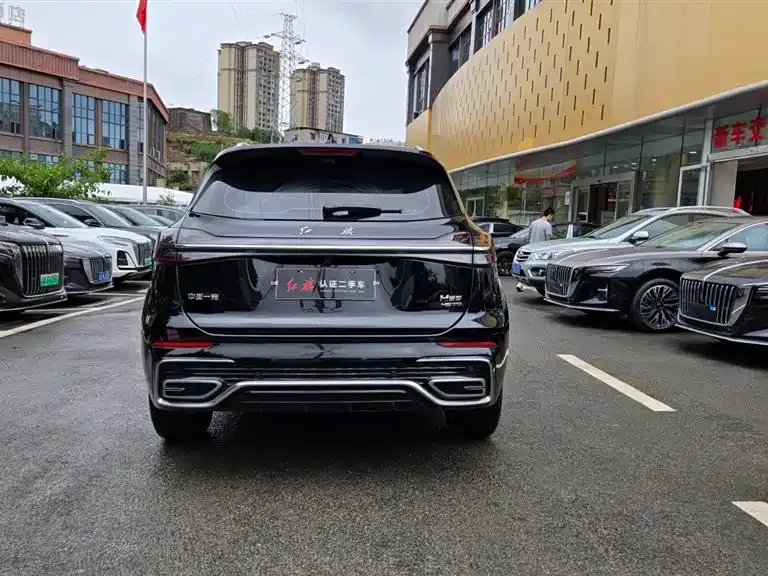 Hongqi HS5 2023 из CN, фото 6